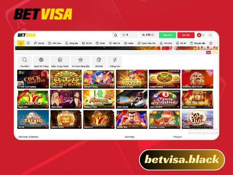 Betvisa lừa đảo