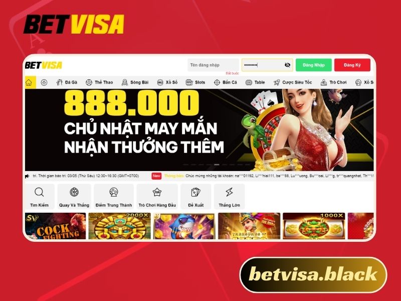 Betvisa nơi cá cược uy tín hàng đầu