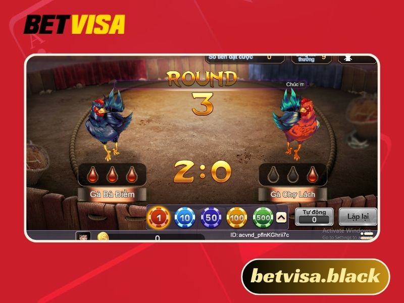 Trực tiếp đá gà CPC3