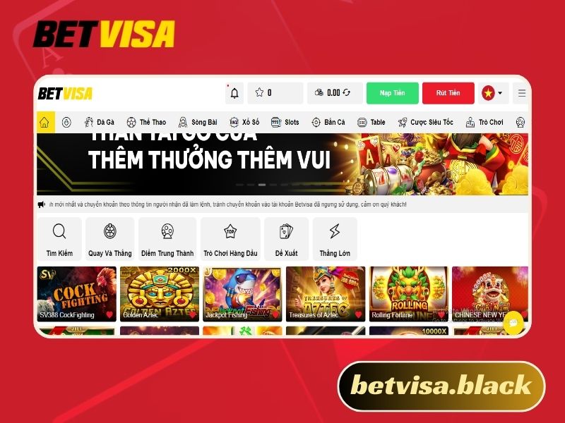 Giới Thiệu Betvisa