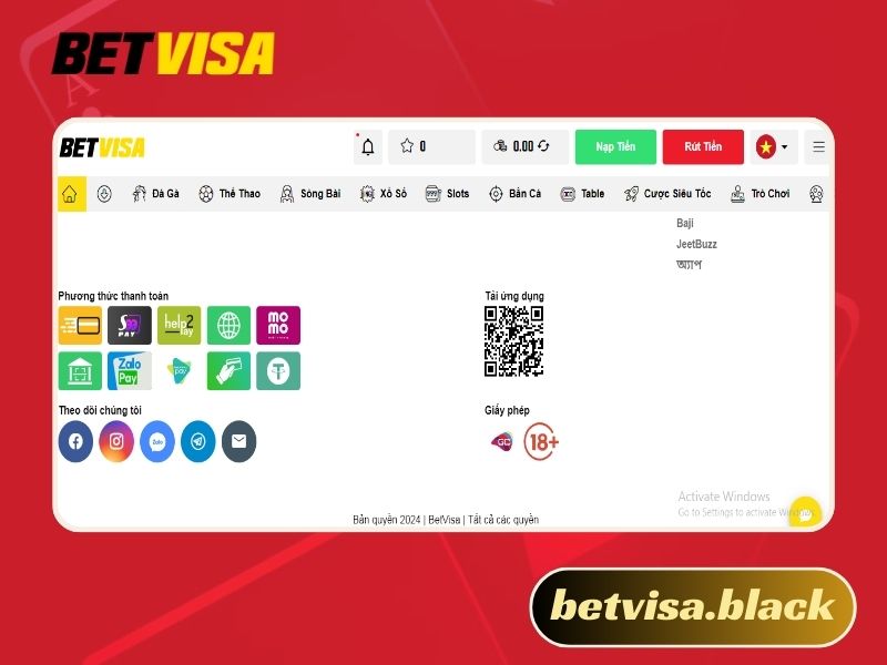 Giới Thiệu Betvisa