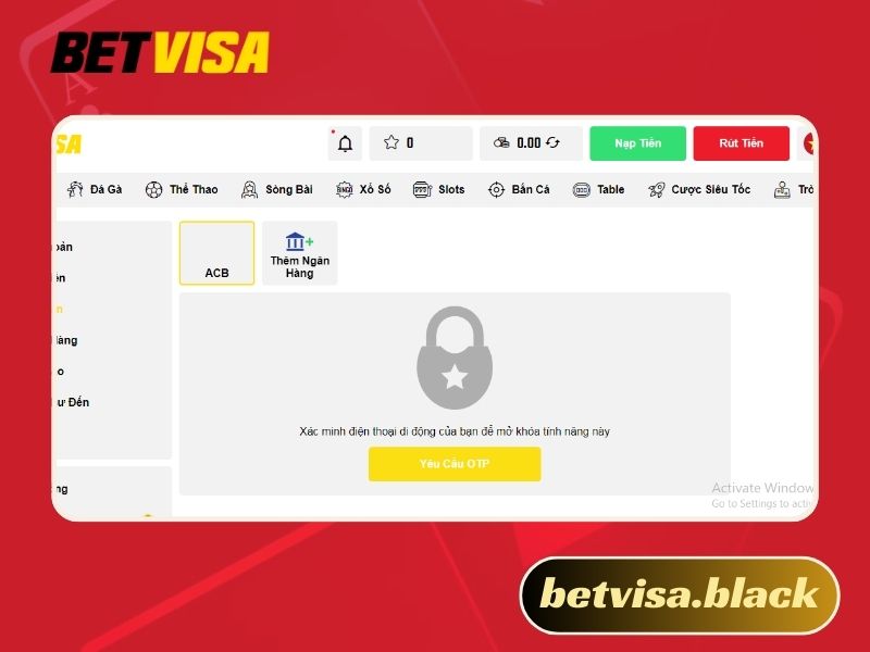 Giới Thiệu Betvisa