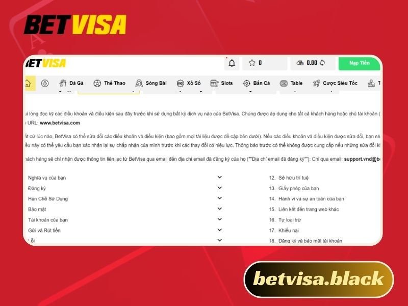 Điều khoản và điều kiện Betvisa